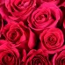 Розы цвета фуксия