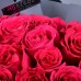 Розы цвета фуксия