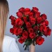 Ярко-красные розы