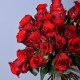 Стандартные розы